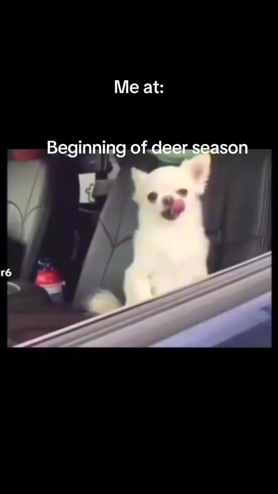 Post 2 by Dr F on TikTok (video)