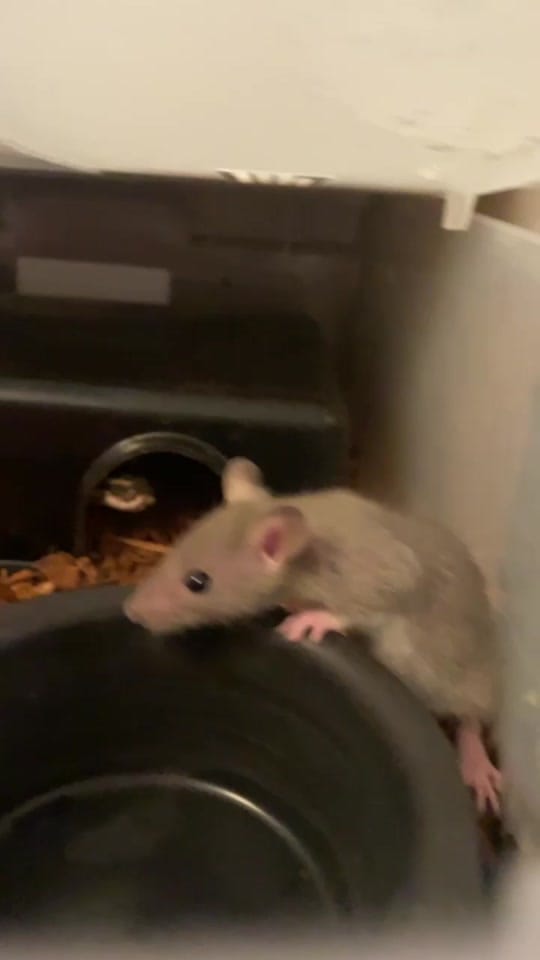 Post 8 by B2W.YJ on TikTok (video)
