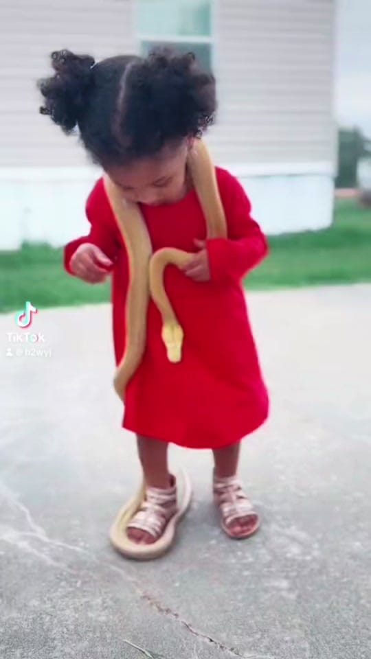 Post 6 by B2W.YJ on TikTok (video)