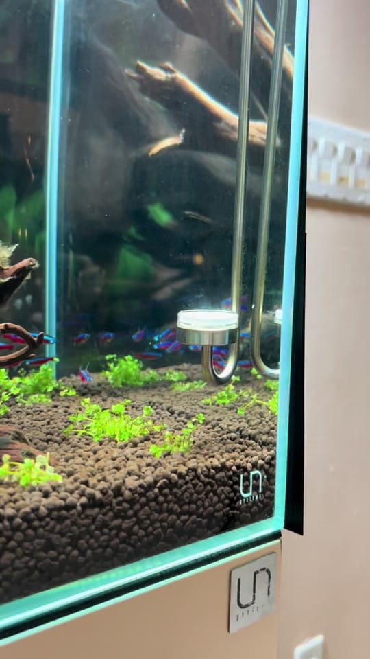 Post 1 by Aquahusk on TikTok (video)