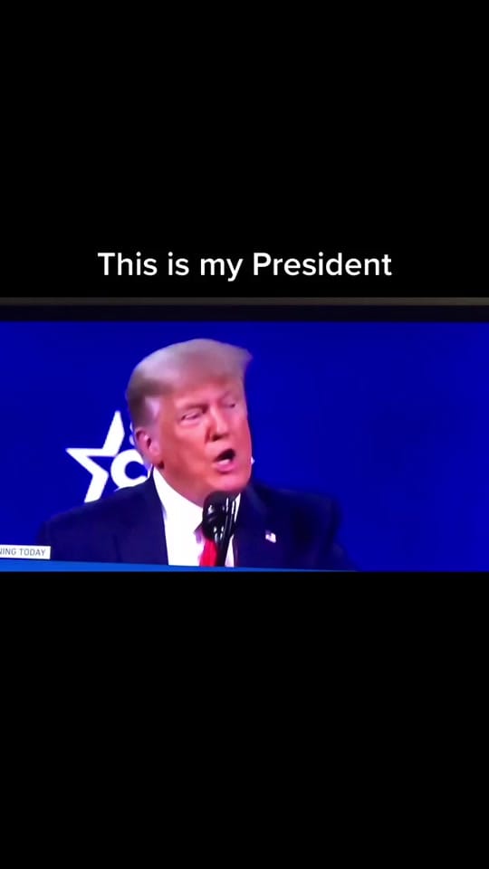 Post 7 by Michael Genovesi on TikTok (video)