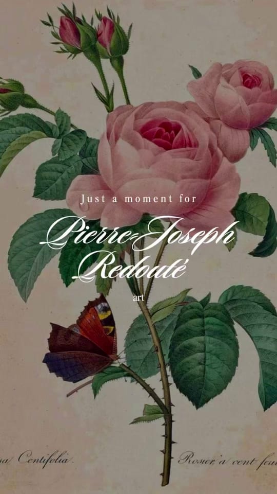 Post 5 by Emeline Rose on TikTok (video)