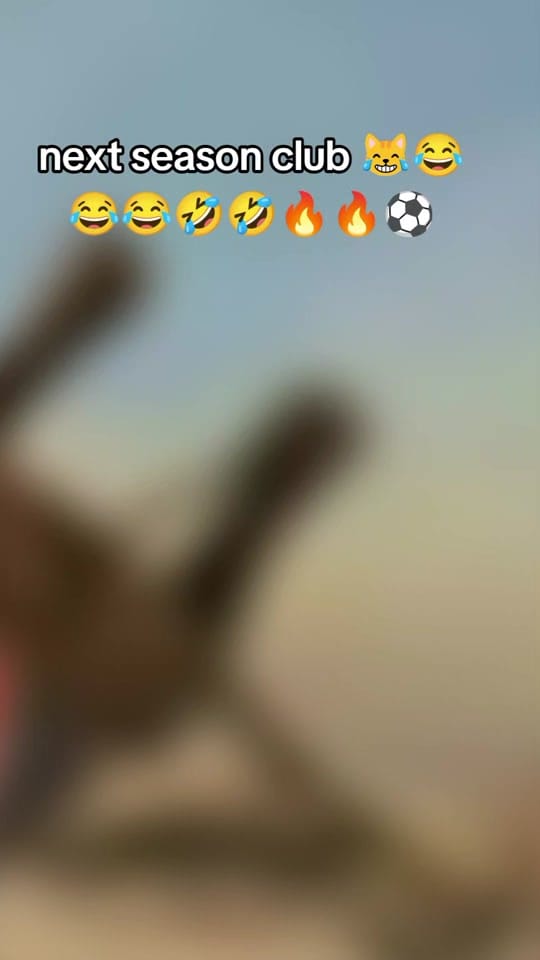 Post 10 by breaking bad⚽♥️ on TikTok (video)