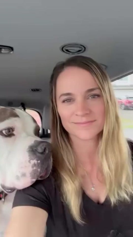 Post 8 by Animalsrescueusa on TikTok (video)