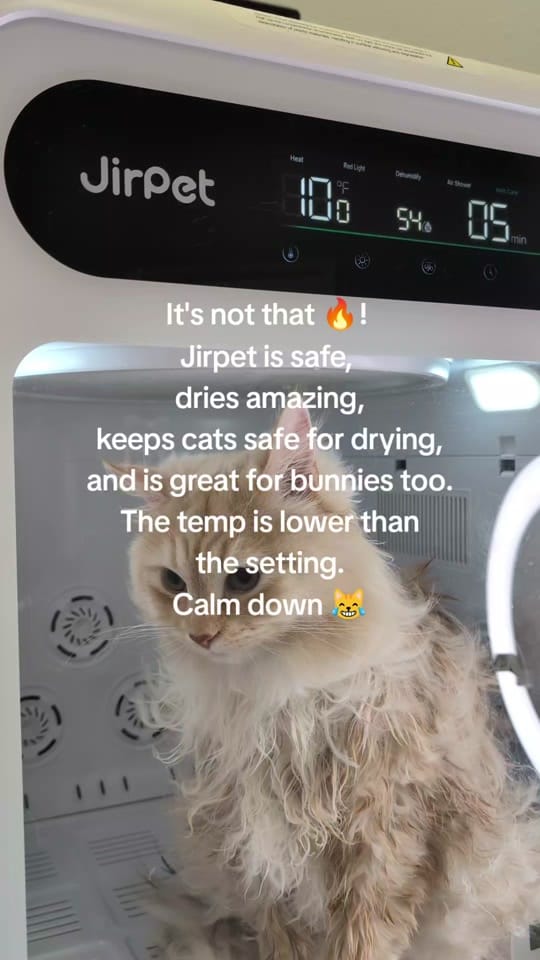Post 10 by Whisker Park on TikTok (video)