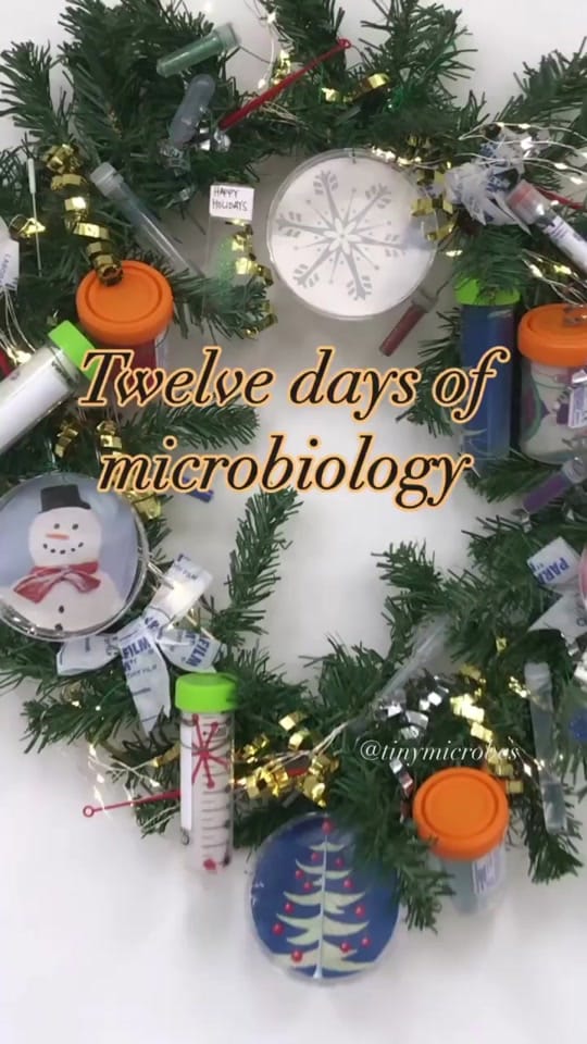Post 2 by Vanessa Porter on TikTok (video)
