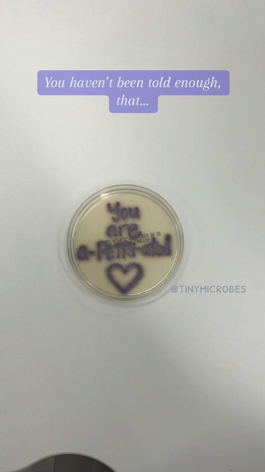 Post 1 by Vanessa Porter on TikTok (video)
