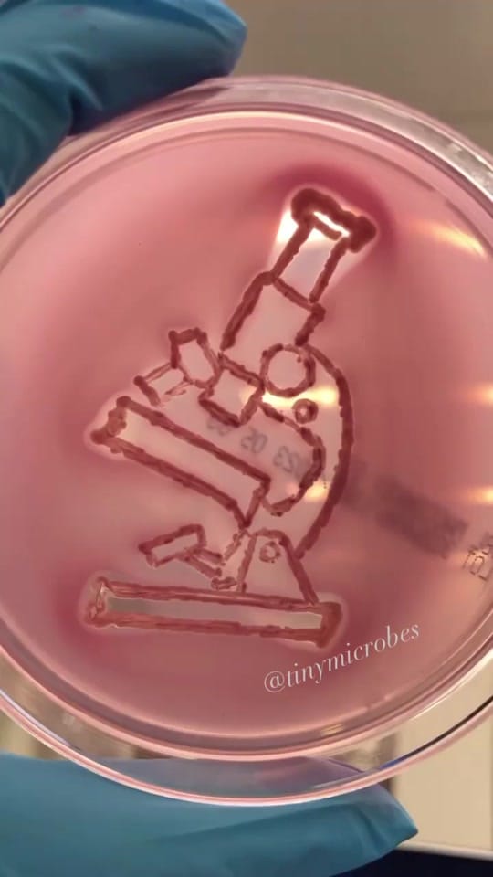 Post 7 by Vanessa Porter on TikTok (video)