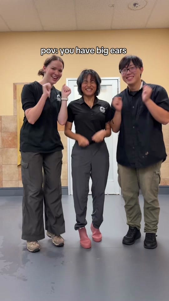 Post 8 by Operation Kindness on TikTok (video)