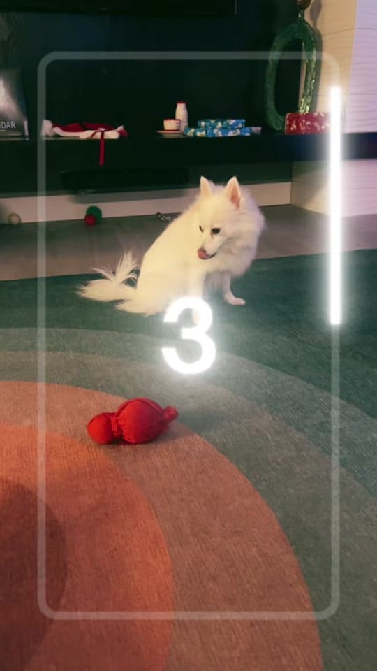 Post 3 by Roberta P on TikTok (video)