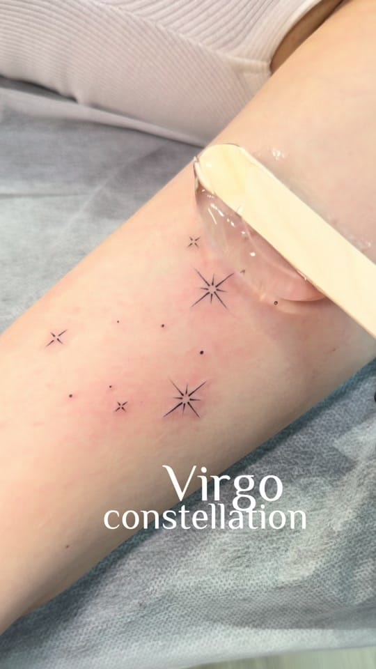 Post 3 by Veronika Fineline on TikTok (video)