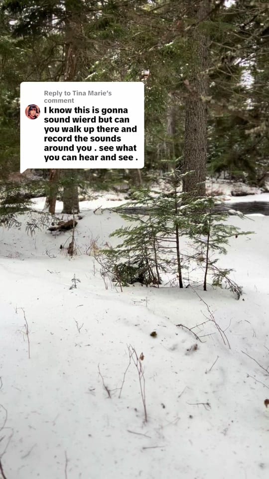 Post 6 by Mr.Mike on TikTok (video)