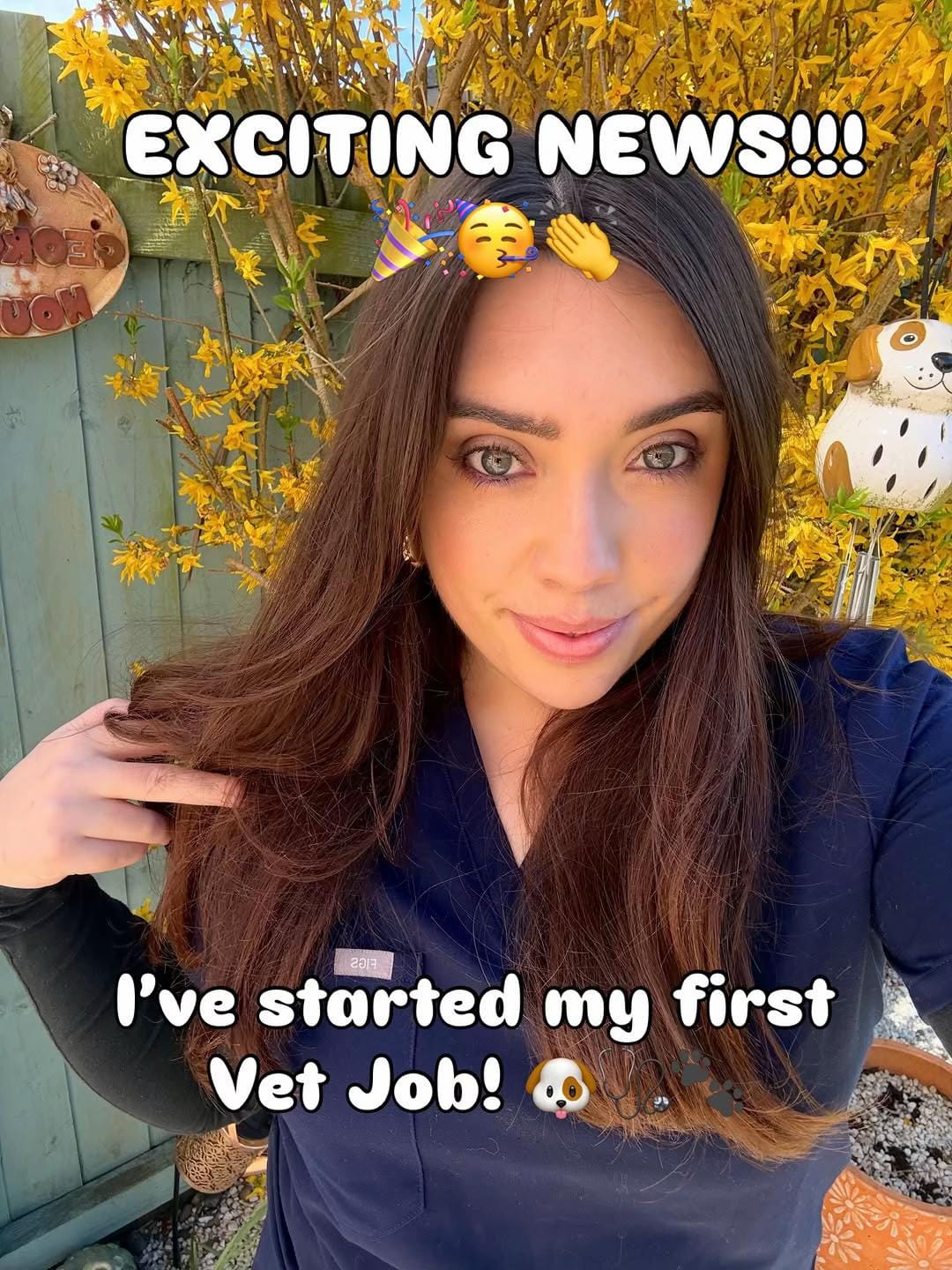 Post 5 by Dr Georgia 🐶🩺 on TikTok (video)