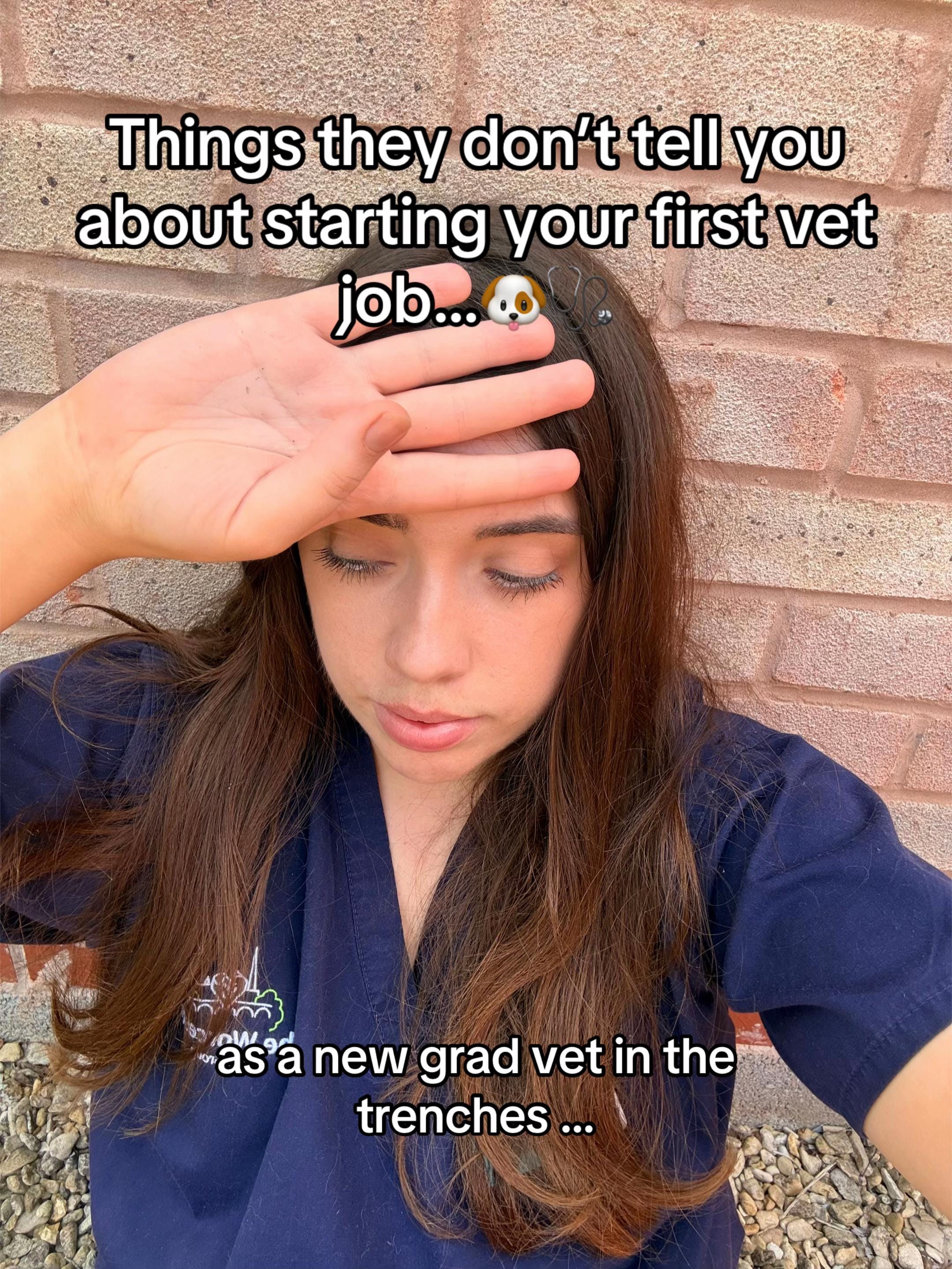 Post 2 by Dr Georgia 🐶🩺 on TikTok (video)