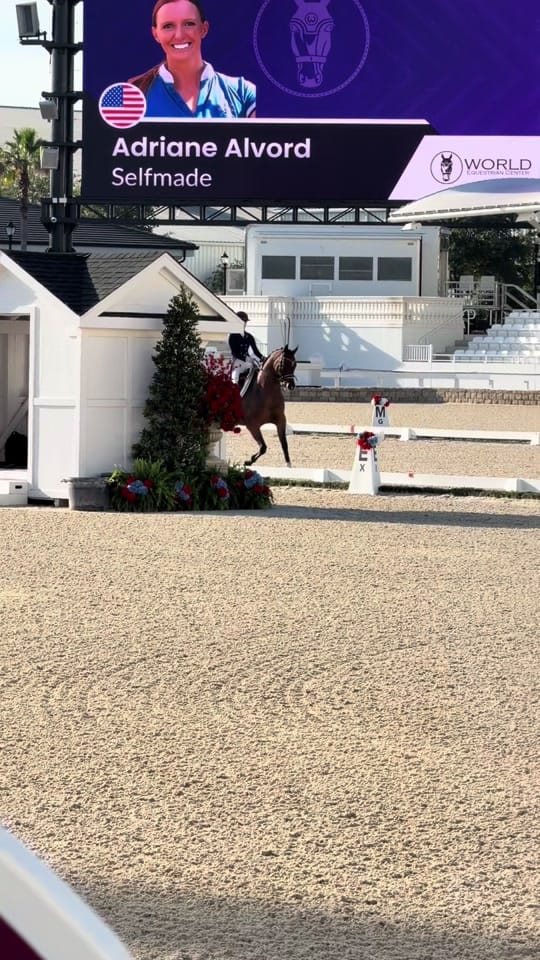 Post 5 by Adriane Alvord on TikTok (video)