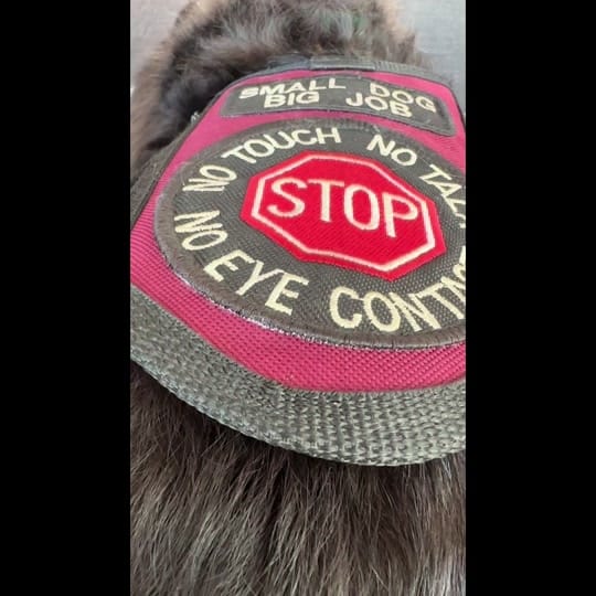 Post 8 by Wally on TikTok (video)