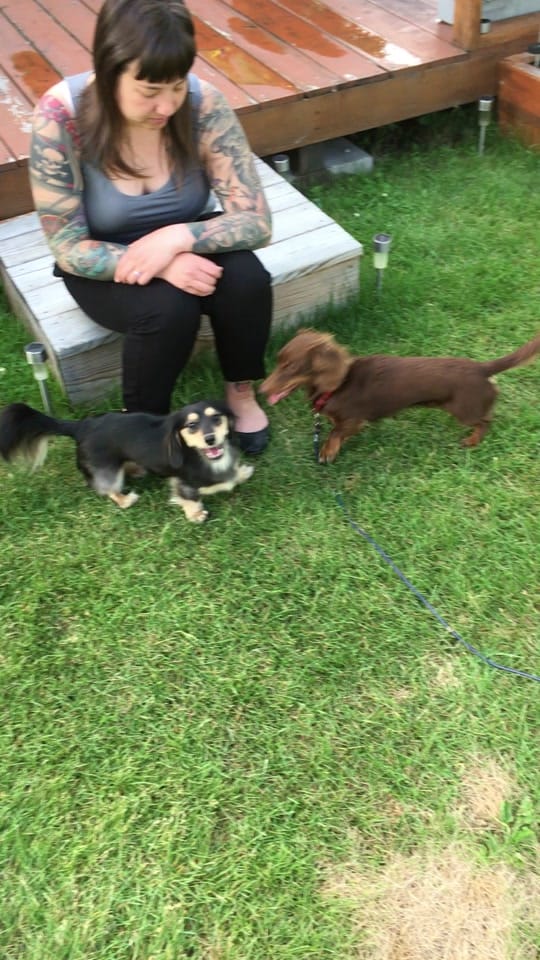Post 6 by Wally on TikTok (video)