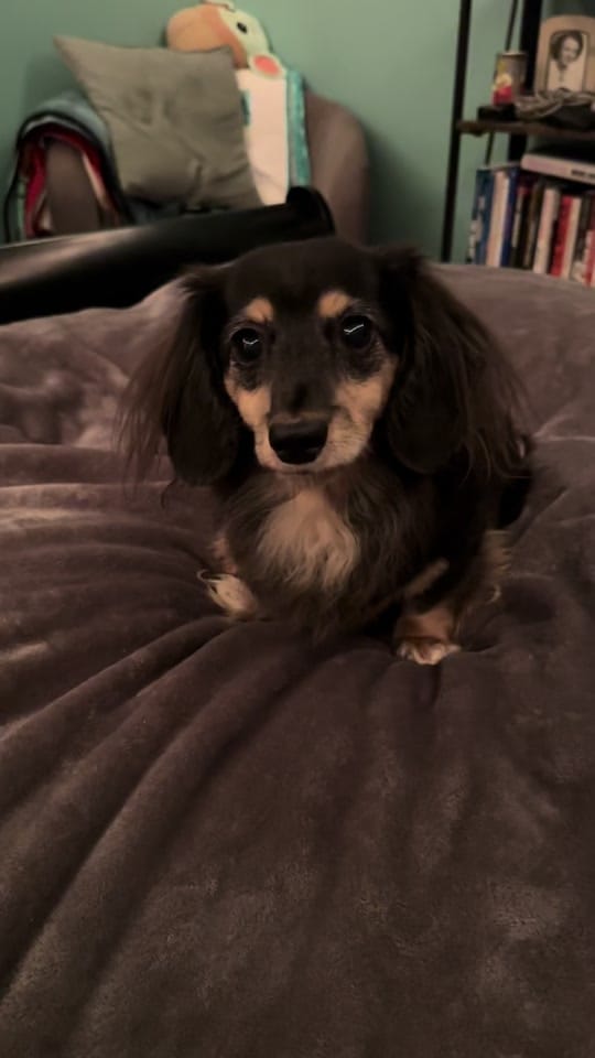 Post 3 by Wally on TikTok (video)