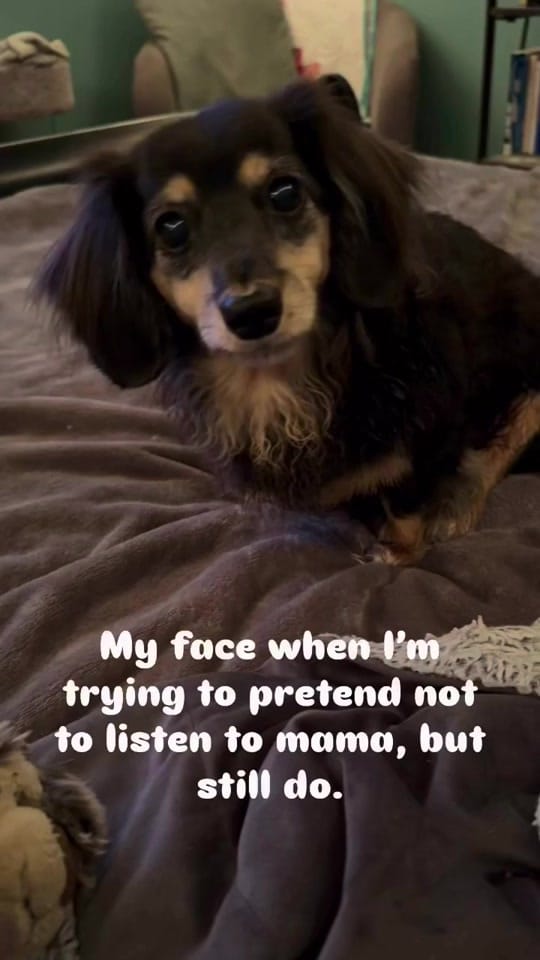 Post 1 by Wally on TikTok (video)