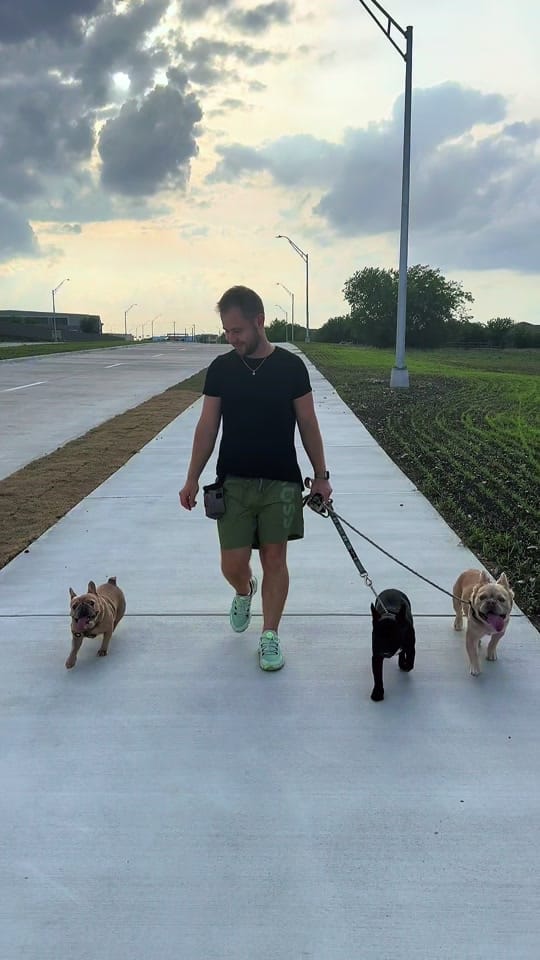 Post 8 by DogTrainerUsa on TikTok (video)