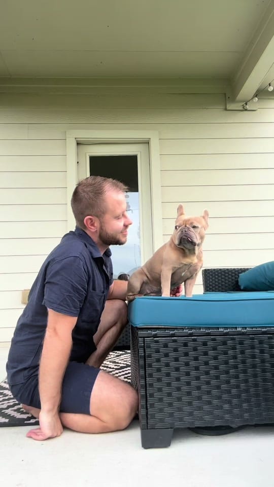 Post 9 by DogTrainerUsa on TikTok (video)