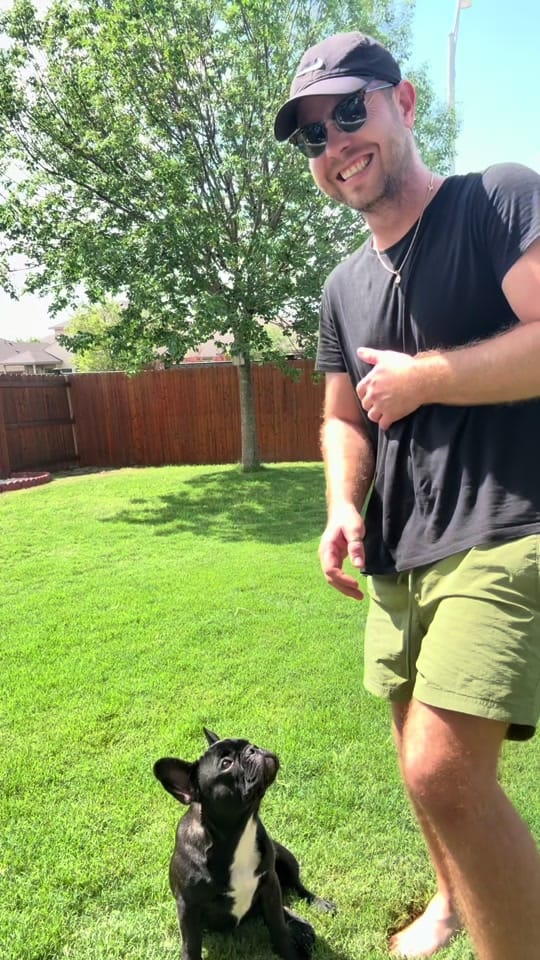 Post 3 by DogTrainerUsa on TikTok (video)