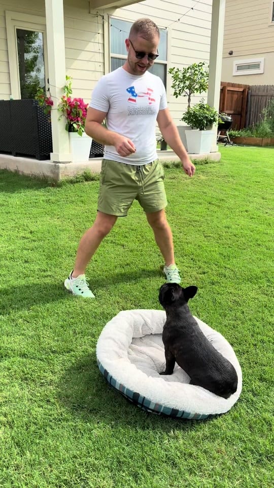 Post 1 by DogTrainerUsa on TikTok (video)
