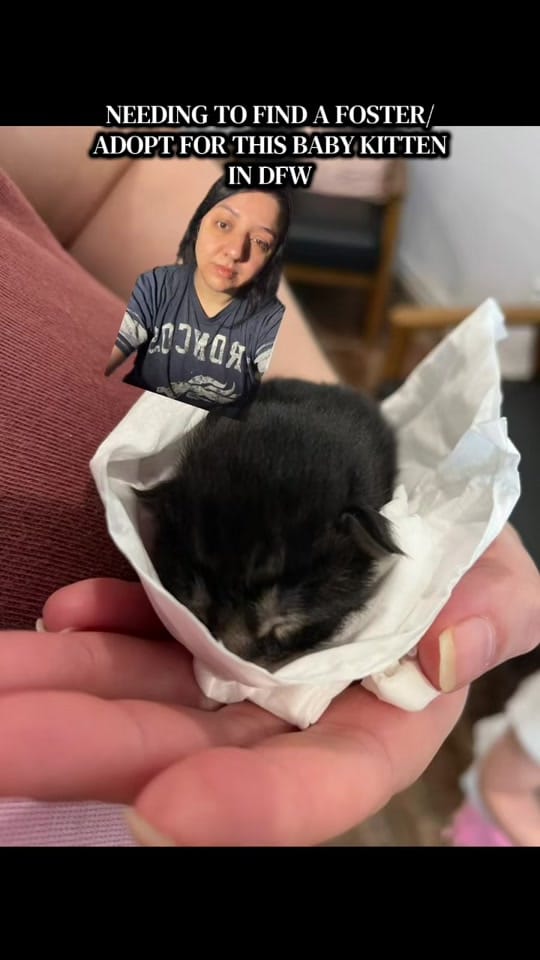 Post 8 by Stadium Food Girl, 🏟🍴👧 on TikTok (video)