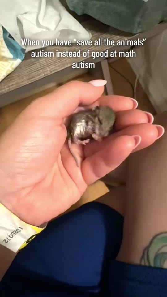 Post 3 by Jaz Jensen on TikTok (video)