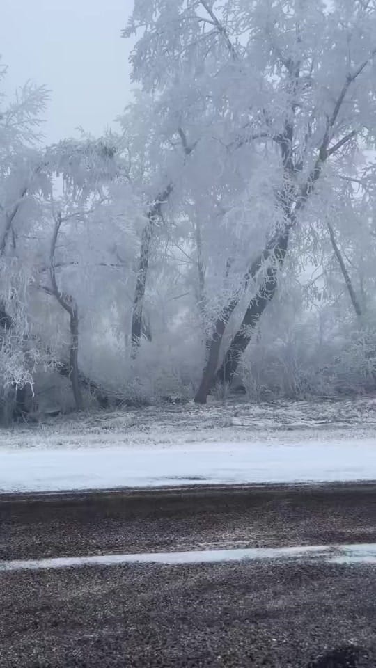 Post 4 by Jaz Jensen on TikTok (video)