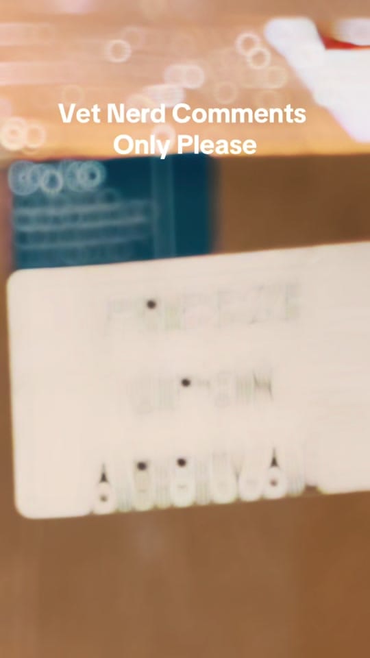 Post 7 by Danville Family Vet on TikTok (video)