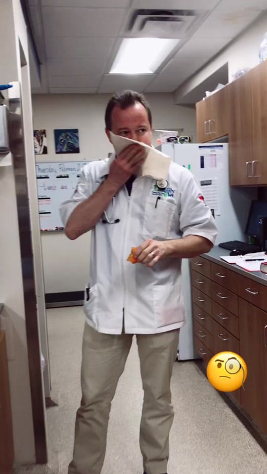 Post 10 by Danville Family Vet on TikTok (video)