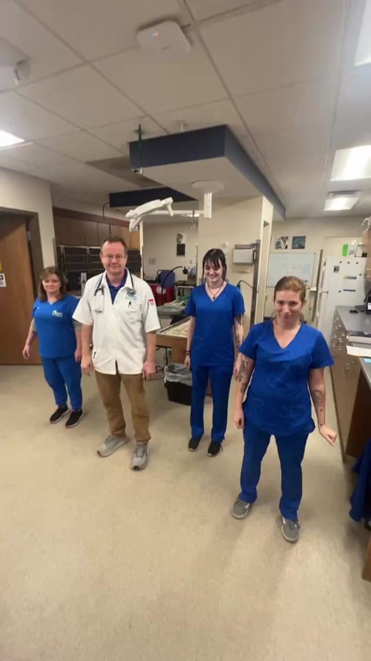 Post 4 by Danville Family Vet on TikTok (video)