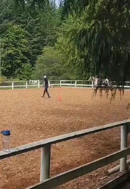 Post 2 by LittleOaksStudio on TikTok (video)