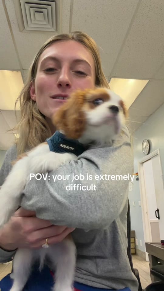 Post 3 by dr.daisyd on TikTok (video)