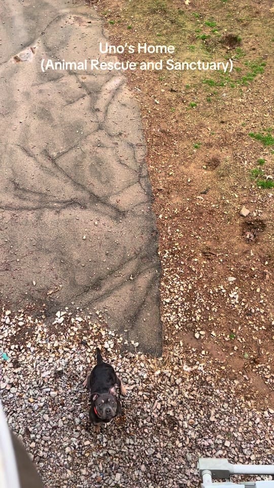 Post 2 by Kendahl on TikTok (video)