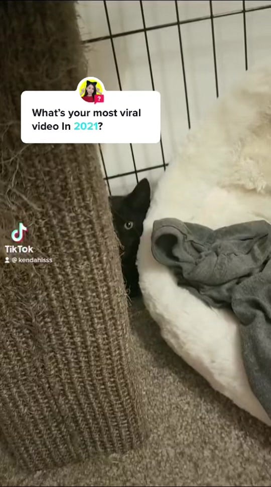 Post 10 by Kendahl on TikTok (video)