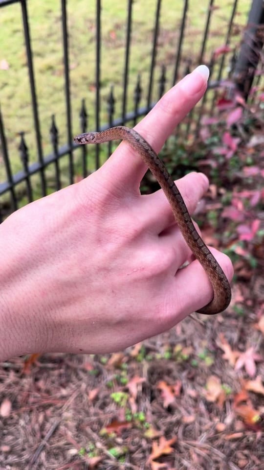 Post 4 by Kendahl on TikTok (video)