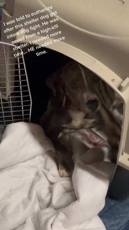 Post 9 by Kendahl on TikTok (video)