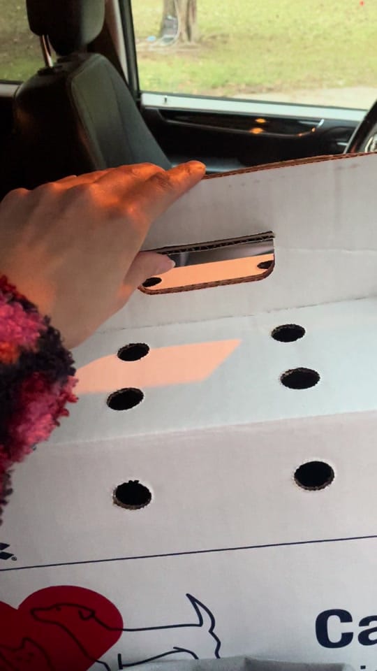 Post 5 by Kendahl on TikTok (video)