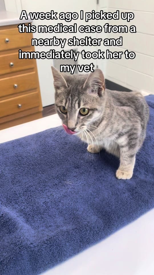Post 1 by Kendahl on TikTok (video)