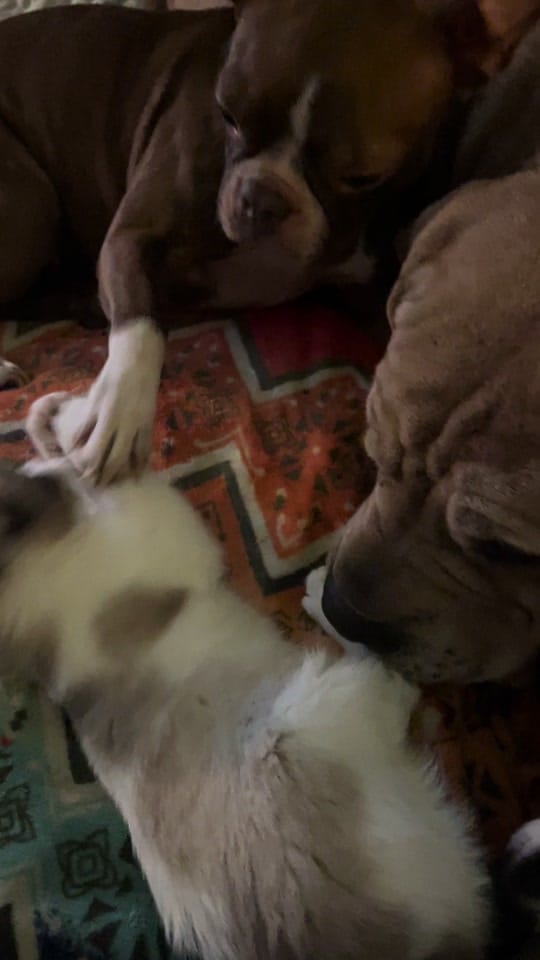 Post 7 by Kendahl on TikTok (video)