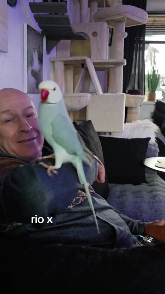 Post 1 by Ursula Messner on TikTok (video)