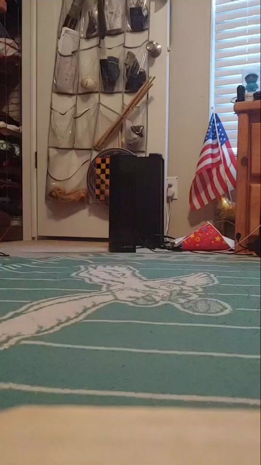 Post 7 by Max the Chihuahua on TikTok (video)