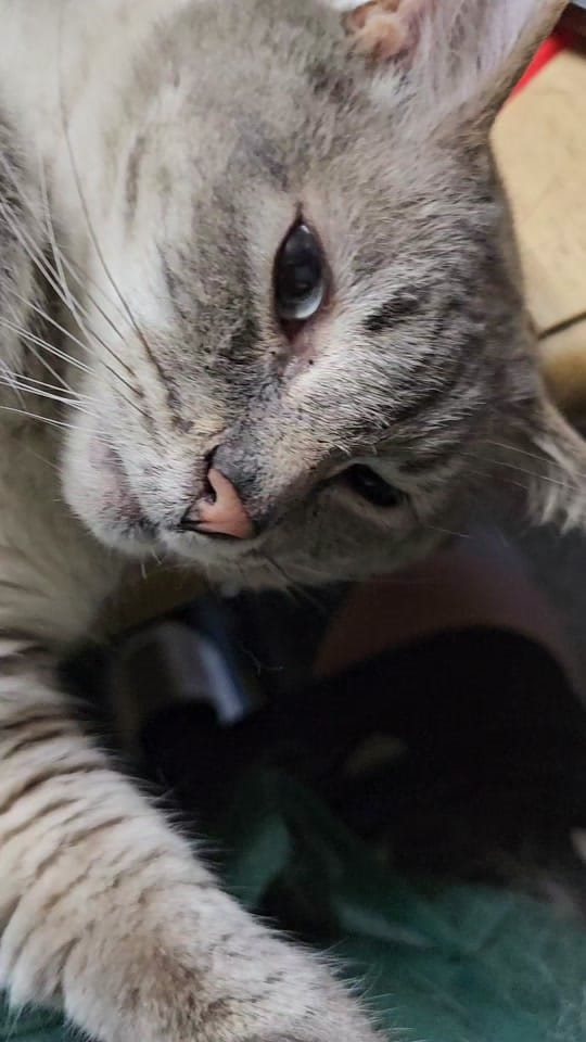 Post 10 by Heather Crazy Momma ❌️ on TikTok (video)