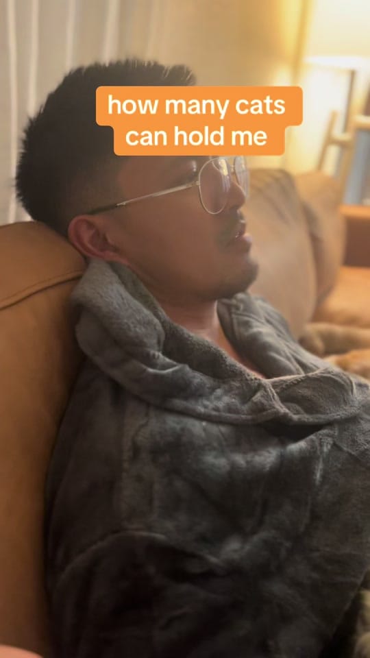 Post 3 by PETTIME.US on TikTok (video)