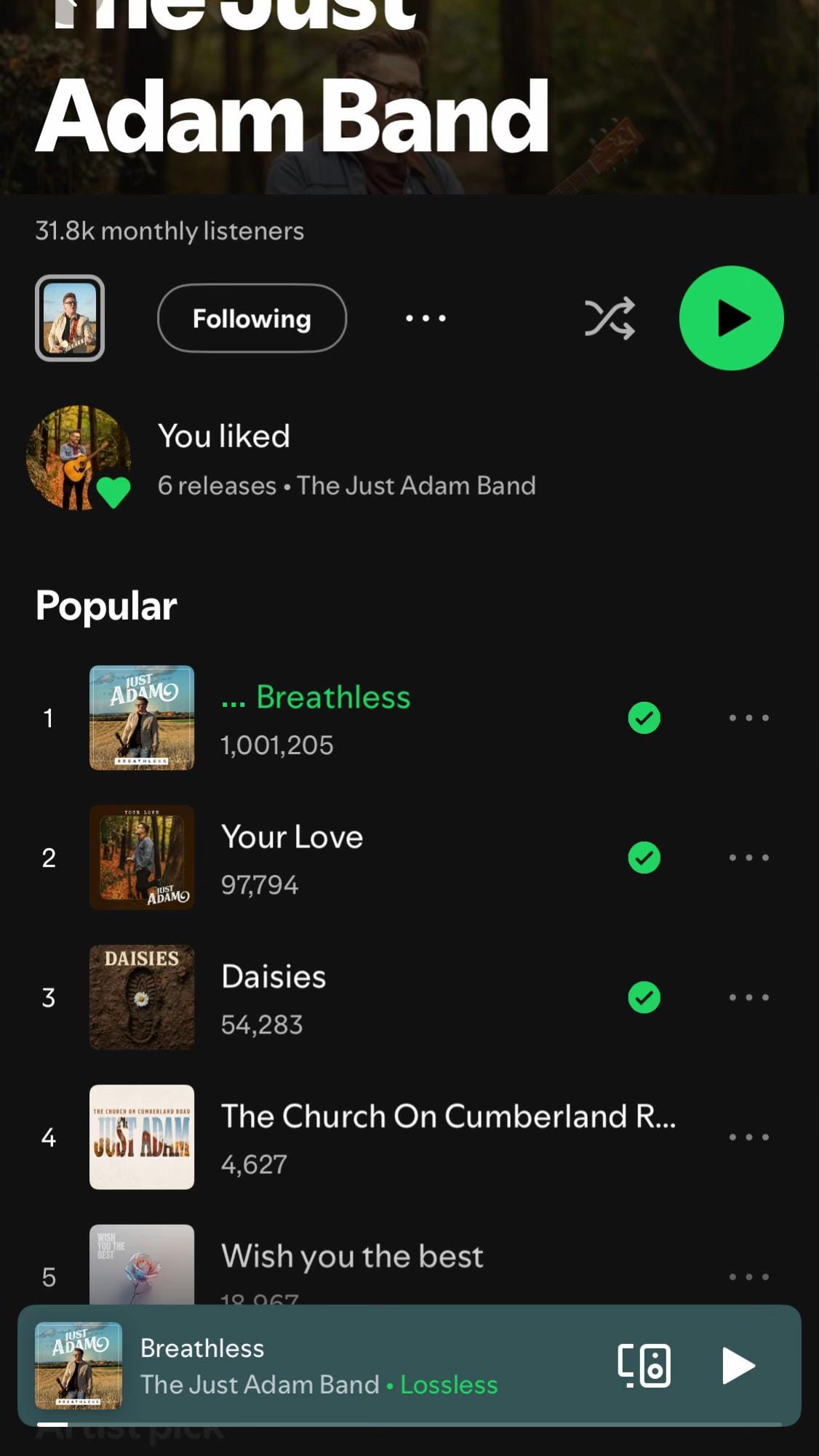 Post 5 by The Just Adam Band on TikTok (video)