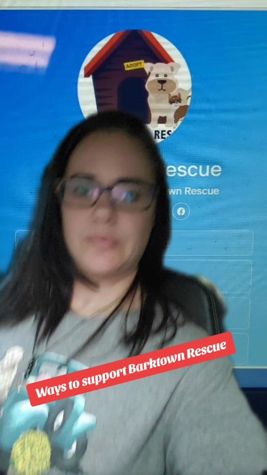 Post 6 by BarktownRescue on TikTok (video)