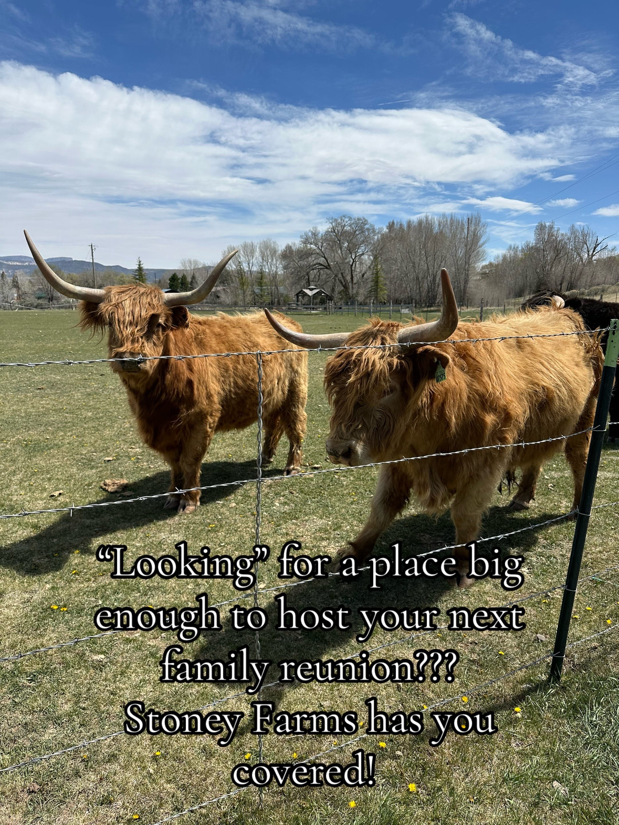 Post 7 by Stoney Farms Vacation Rentals on TikTok (video)