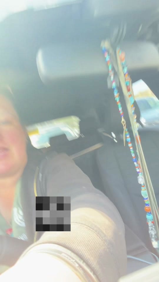 Post 7 by 🩺hannah the horse doc🐎 on TikTok (video)